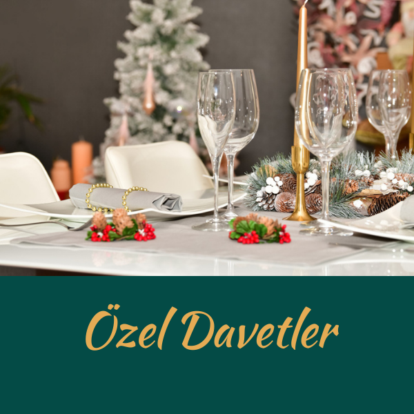 OZELDAVETLER